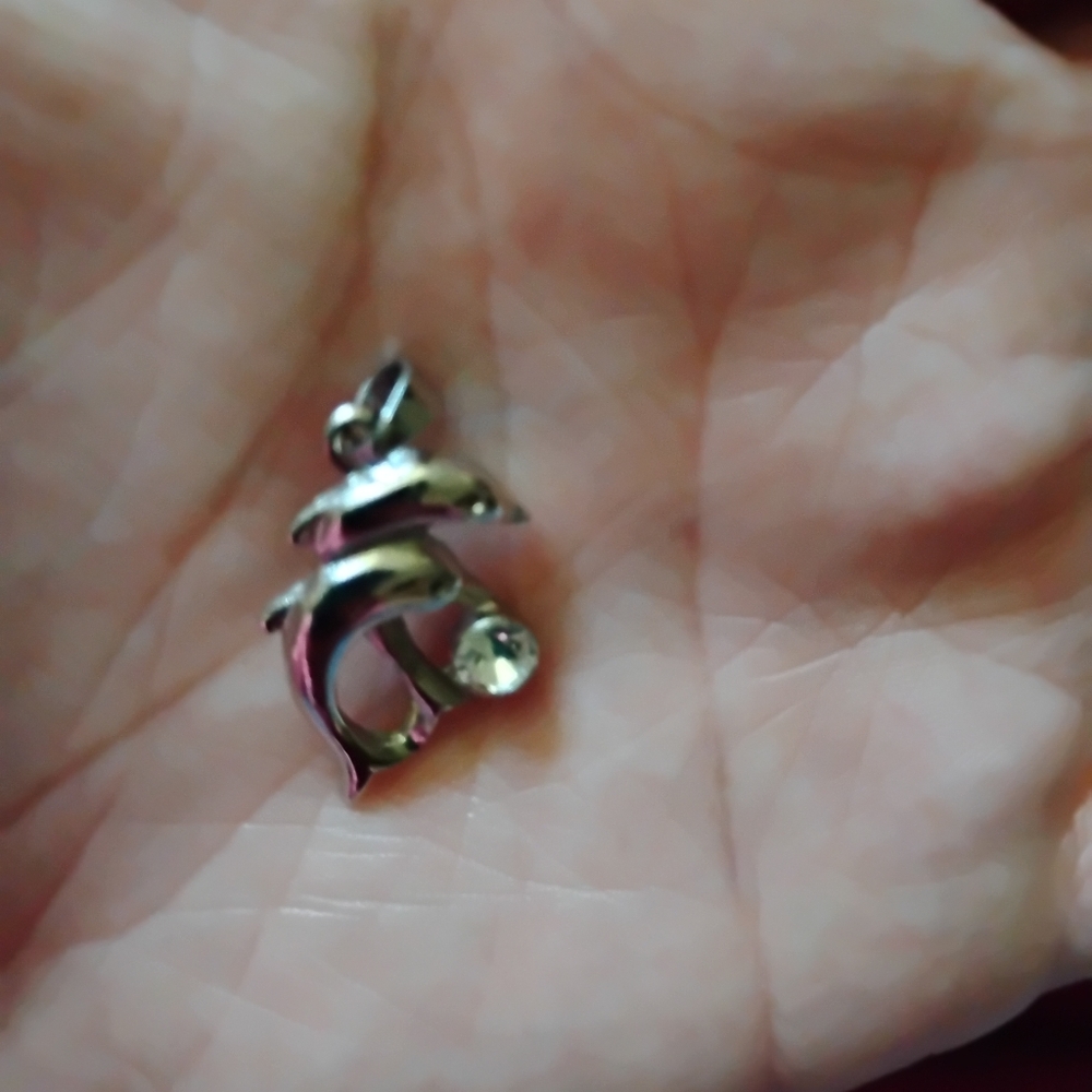 Elegant Silver Dolphin Charm
